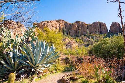 Boyce Thompson Arboretum