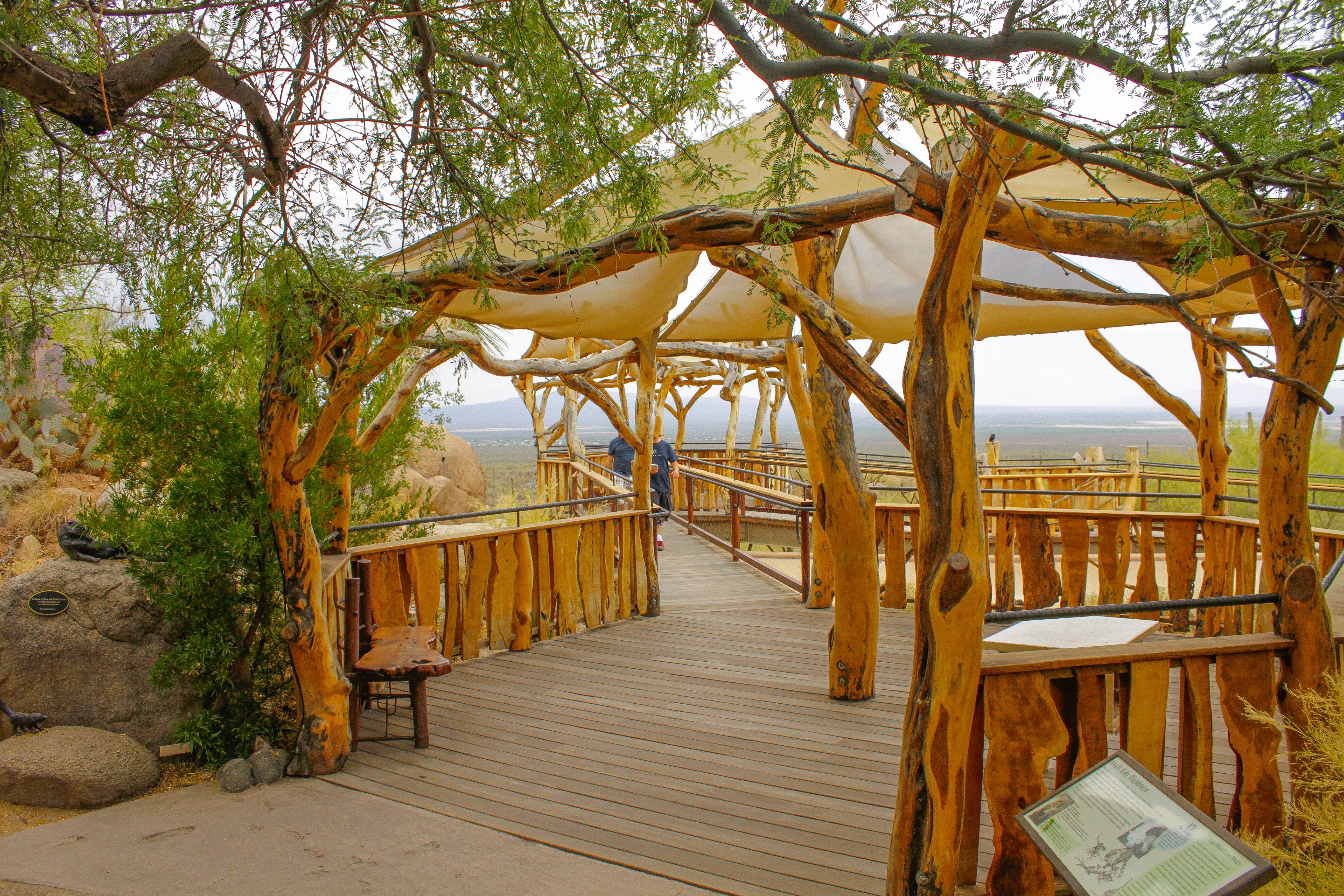 Arizona-sonora Desert Museum Map