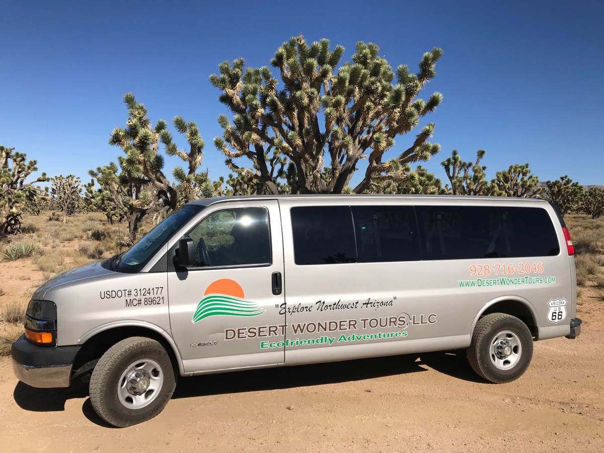 desert wonder tours reviews