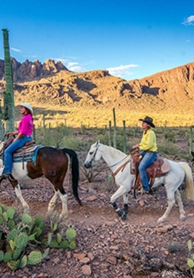 Discover Arizona's Wild West