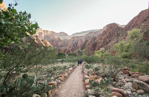 Opt Outside in Arizona