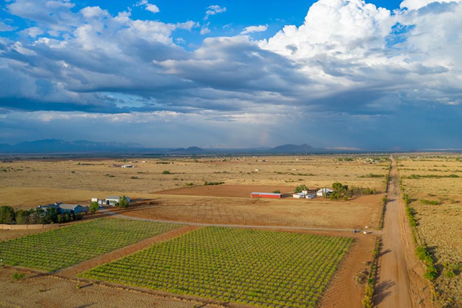 1764 Vineyards & Vino Stache Winery