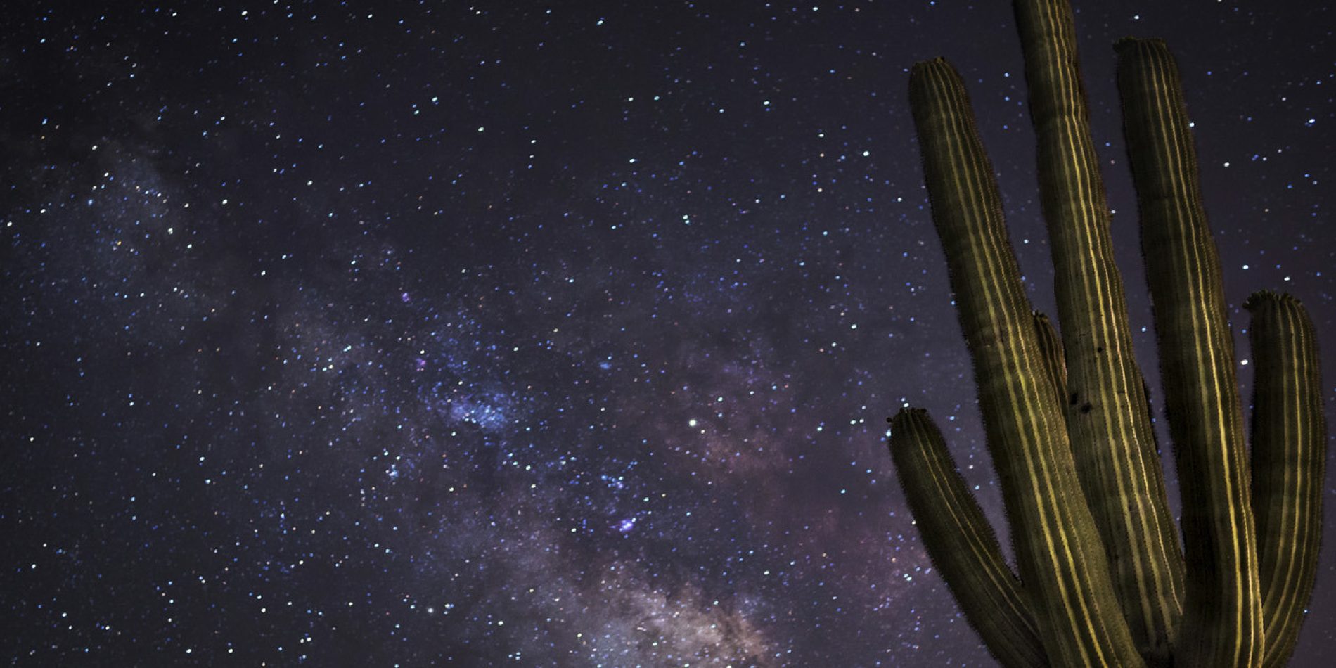 Arizona's Starry Nights