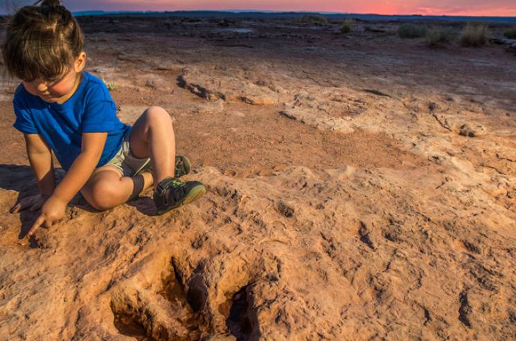 Walk in the Shadows of Arizona Dinosaurs