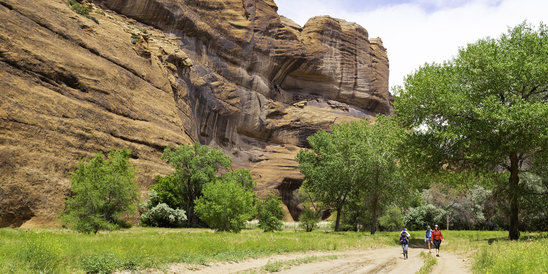 hiking trips in arizona