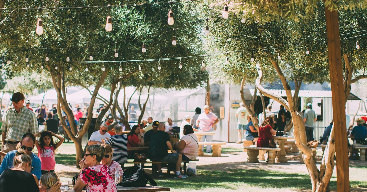 Experience 10 Exciting Year-Round Things to Do in Queen Creek, Arizona