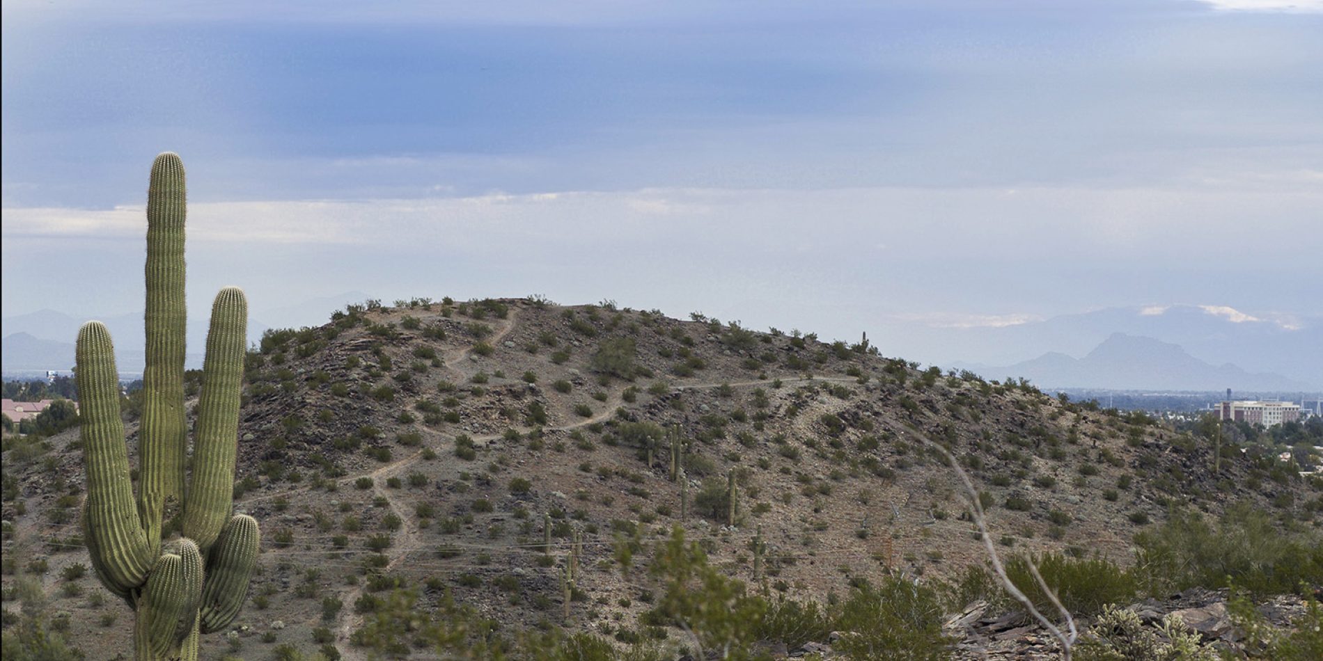 Ahwatukee Foothills Village