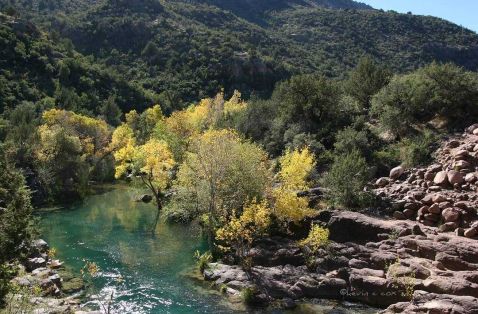A Guide to Visiting Fossil Creek The “Right Way”