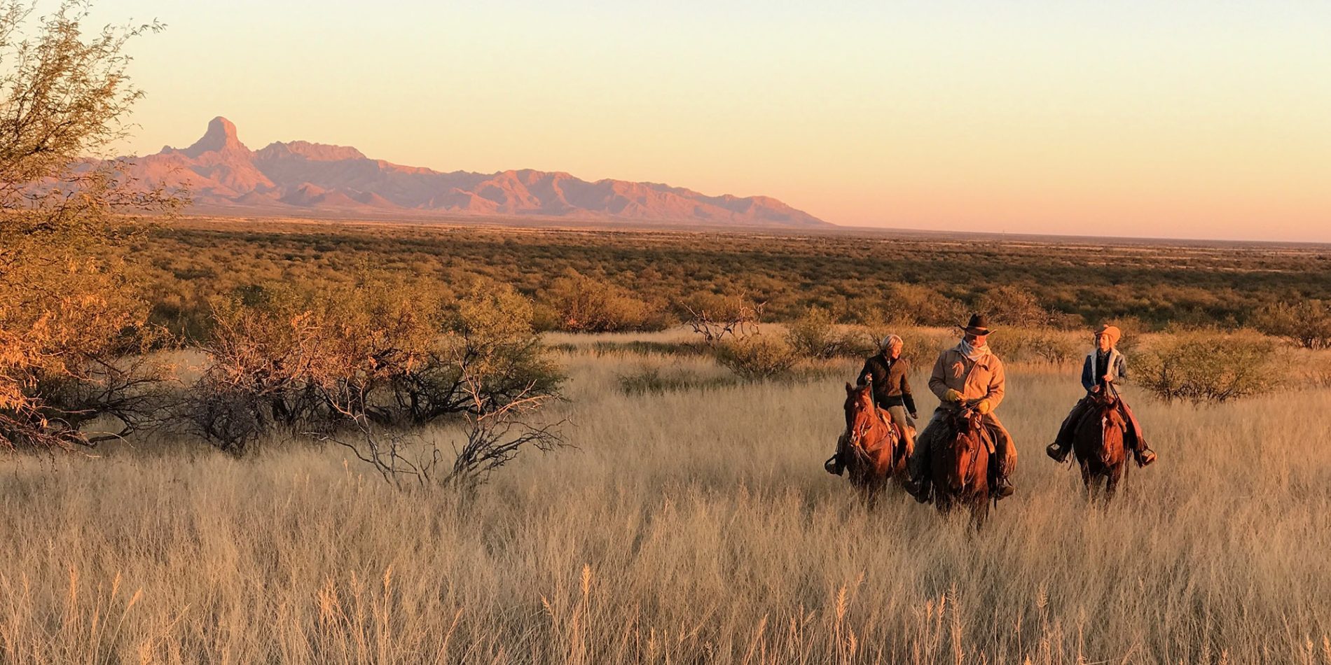 Discover Arizona's Wild West