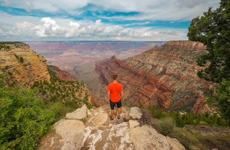 A man in a red shirt stands at the edge of an overlook at the Grand Canyon.