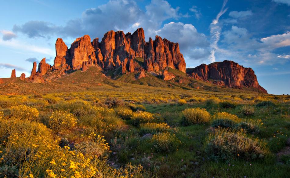 Arizona Wildlife  Arizona State Parks