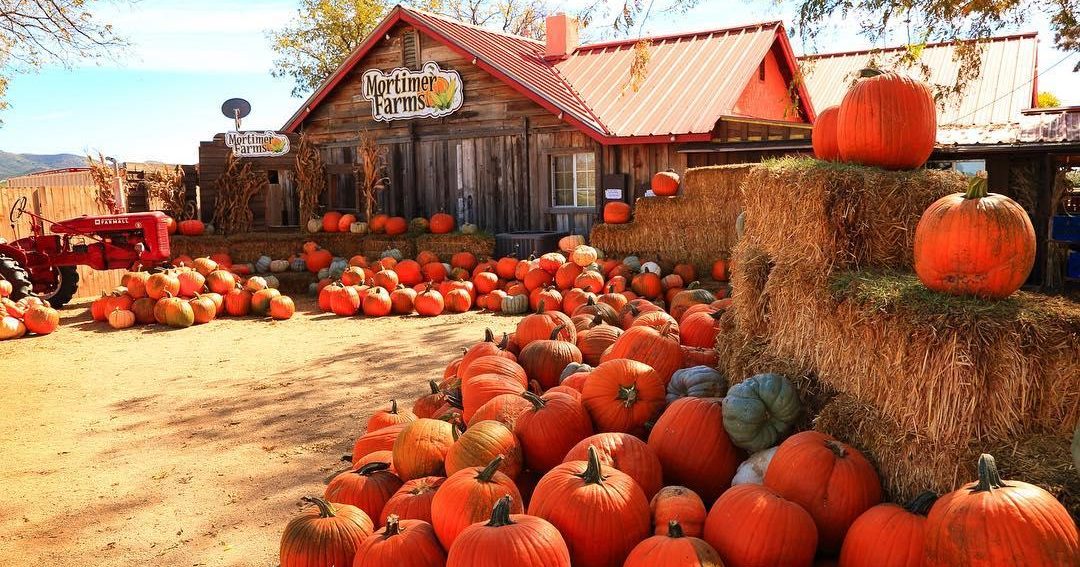 Arizona's Fall Events and Festivals Visit Arizona