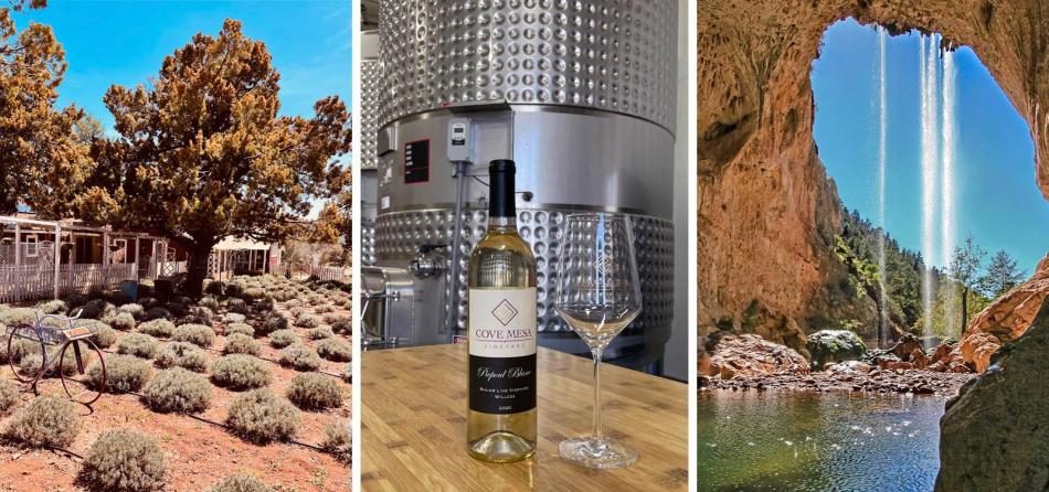 Arizona Road Trip: Amazing People and Places