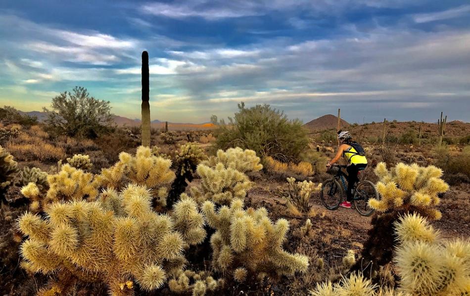 Cycling in Arizona