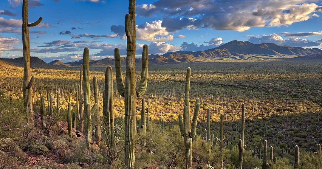 slidbane galleri krøllet New to Nature? Leave No Trace in Arizona | Visit Arizona