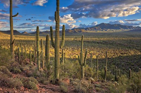 New to Nature? Leave No Trace in Arizona