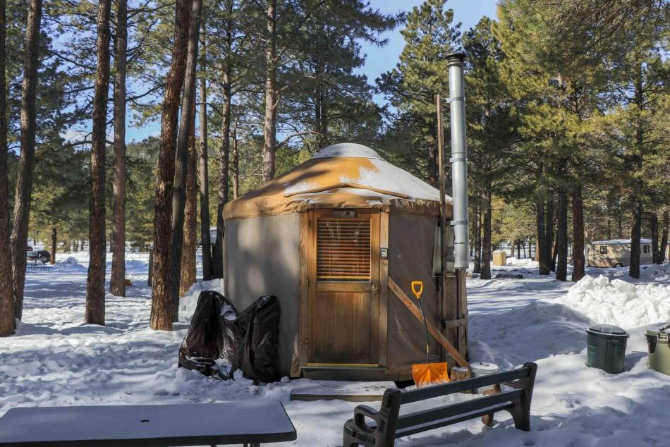 Cozy Vanlife Gaming Routine in Snowy Forest 