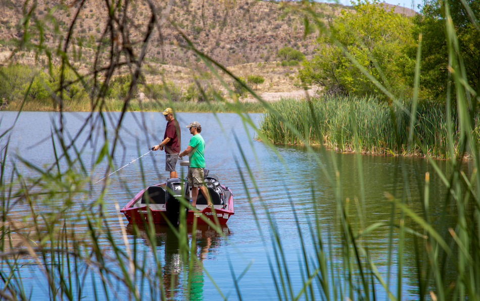 Incredible Fishing on Arizona Lakes
