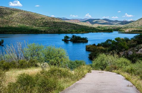 Sonoita Creek State Natural Area | Visit Arizona | Visit Arizona