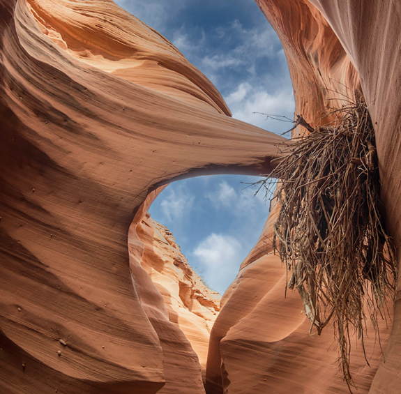A Photographer's Guide to Exploring Arizona's Slot Canyons  Visit Arizona