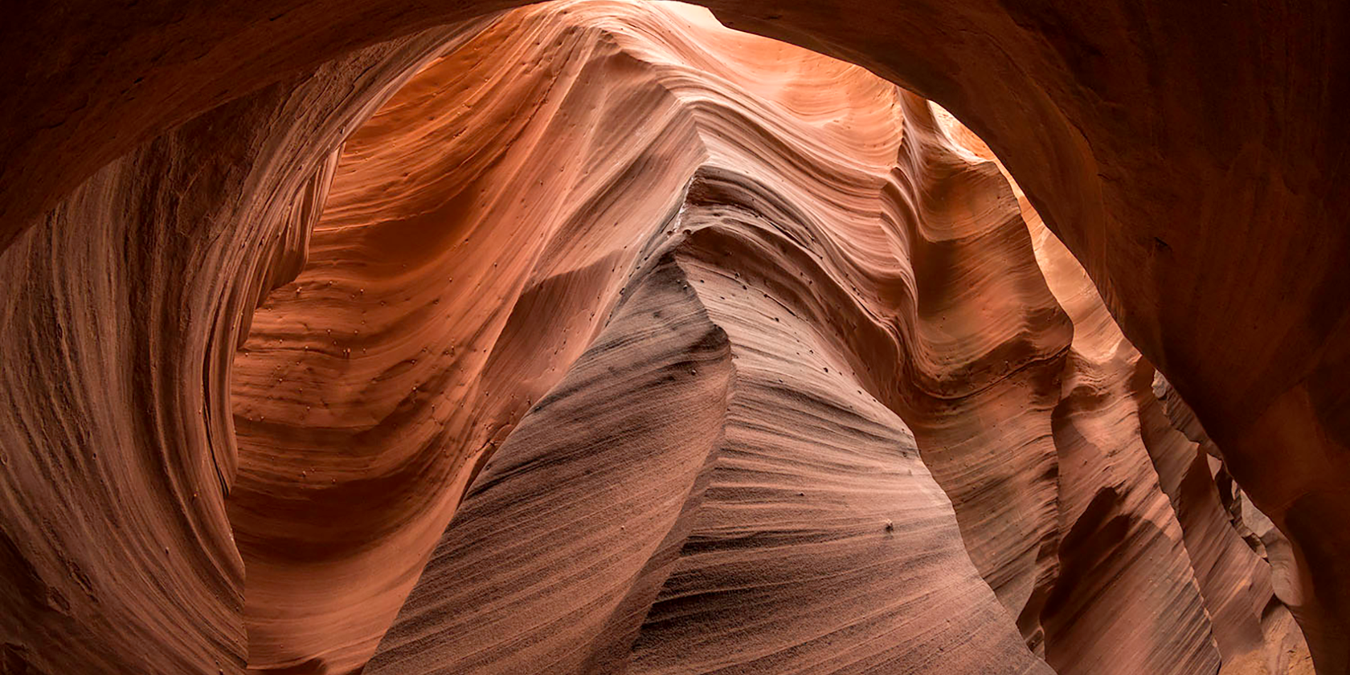 Canyon top