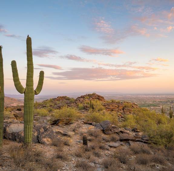 Insiders' Guide to Phoenix